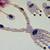 Blue rose gold premium designer american diamond and stone work necklace set