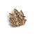 Antique gold brass sacred lotus brooch