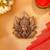 Antique gold brass sacred lotus brooch