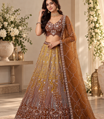 Brown Color Zari Embroidery,Sequins And Beads Work Net Lehenga Choli