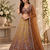 Brown Color Zari Embroidery,Sequins And Beads Work Net Lehenga Choli