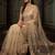 Beige embroidered net saree