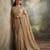 Champagne gold embroidered galaxy soft net saree