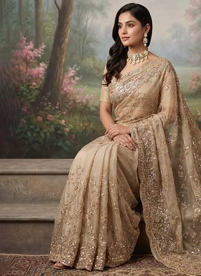 Champagne gold embroidered galaxy soft net saree 2