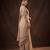 Beige embroidered soft foil georgette saree