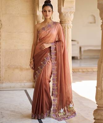 Brown embroidered chiffon saree 2
