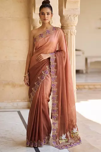 Brown embroidered chiffon saree