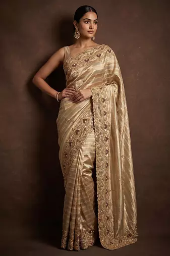 Silver gold embroidered nylon saree