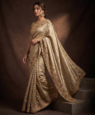 Silver gold embroidered nylon saree 2