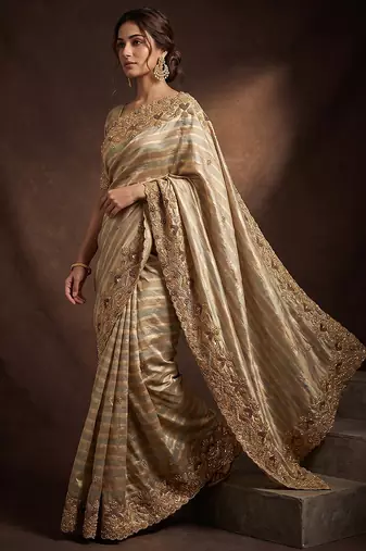 Silver gold embroidered nylon saree
