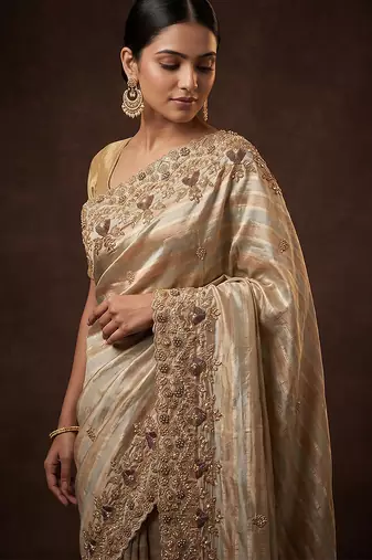 Silver gold embroidered nylon saree