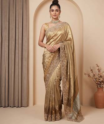 Antique gold embroidered tissue nylon saree 2