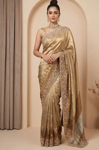 Antique gold embroidered tissue nylon saree