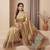 Antique gold embroidered tissue nylon saree