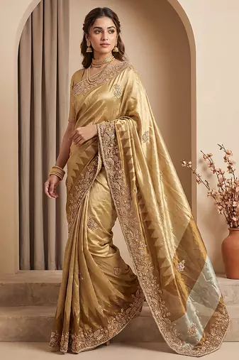Antique gold embroidered tissue nylon saree