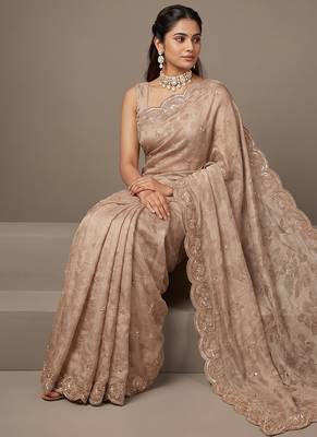 Beige embroidered foil georgette saree 2
