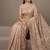 Beige embroidered foil georgette saree