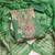green jacquard  embroidered unstitched dressmaterials 3 pair top bottom dupptaa