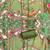Green cotton embroidered unstitched dressmaterials 3 pair top bottom dupptaa
