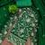 Green cotton embroidered unstitched dressmaterials 3 pair top bottom dupptaa