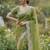 olive color embroidery work with cut work border and havy daimond work silk blend saree