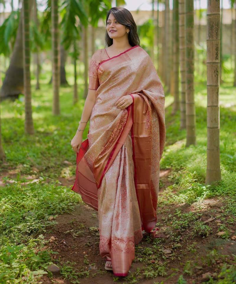 red color kanchipuram silk blend zari weaving saree with blouse piece