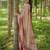 red color kanchipuram silk blend zari weaving saree with blouse piece