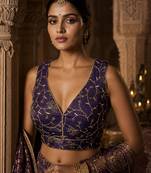 Urple embroidered fancydesigner saree blouse
