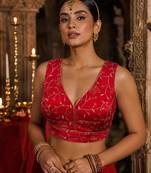 Red embroidered fancydesigner saree blouse
