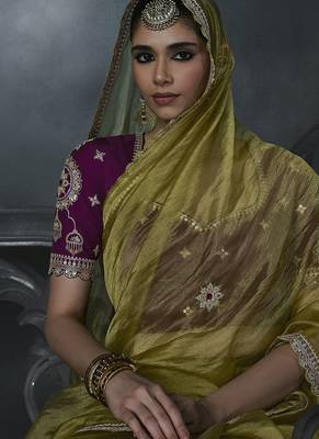 olive organza sequinece work party wear saree 2