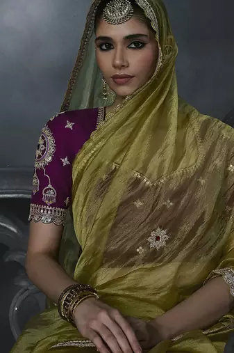 olive organza sequinece work party wear saree