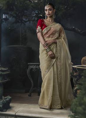 beige organza sequinece work party wear saree 1
