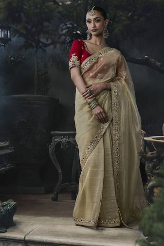 beige organza sequinece work party wear saree
