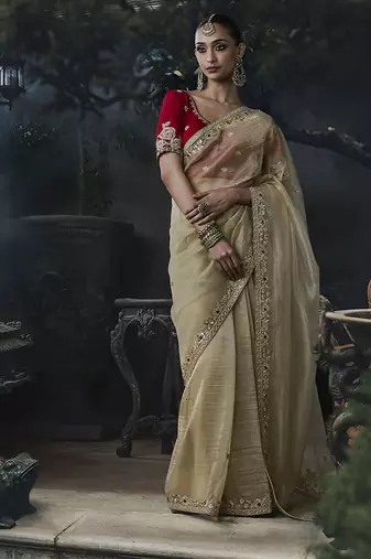 beige organza sequinece work party wear saree