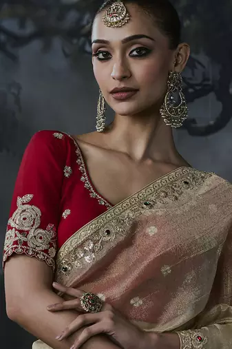 beige organza sequinece work party wear saree