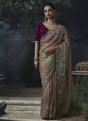 chiku organza sequinece work party wear saree 1