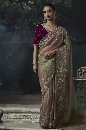 chiku organza sequinece work party wear saree