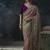 chiku organza sequinece work party wear saree