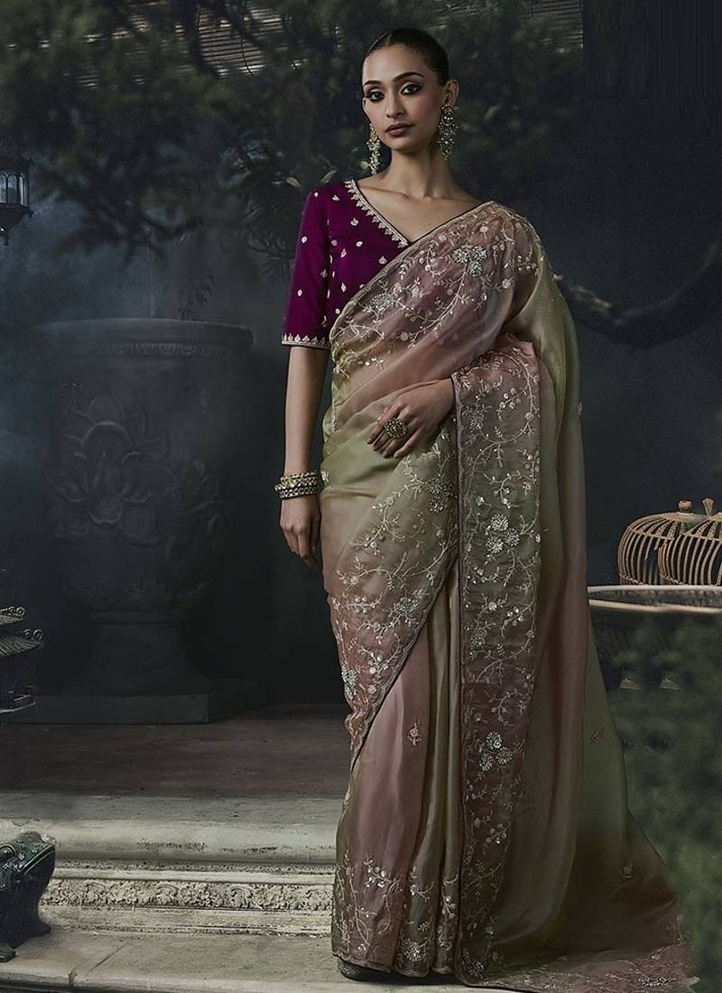 chiku organza sequinece work party wear saree