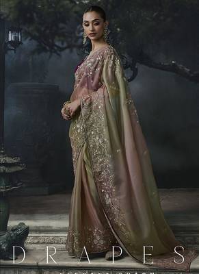 chiku organza sequinece work party wear saree 2