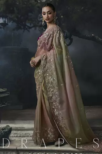 chiku organza sequinece work party wear saree