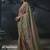 chiku organza sequinece work party wear saree