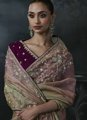 chiku organza sequinece work party wear saree 3