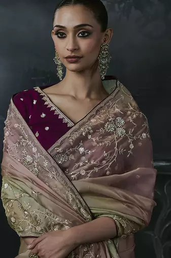 chiku organza sequinece work party wear saree