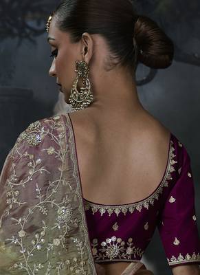 chiku organza sequinece work party wear saree 4