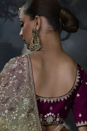 chiku organza sequinece work party wear saree