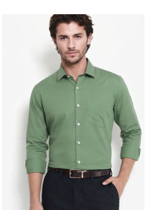 Men's Plain Green Spread Collar Cotton Blended Casual Wear Shirt 1