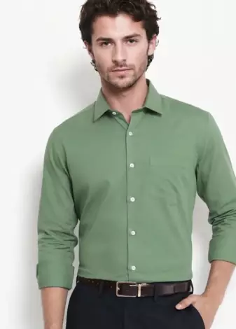 Men's Plain Green Spread Collar Cotton Blended Casual Wear Shirt