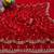 red color sequence embroidery work with cut work border silk blend saree