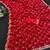red color sequence embroidery work with cut work border silk blend saree